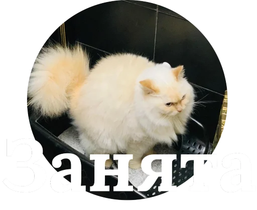 🤐 Стикер «Кинкиса» для Telegram