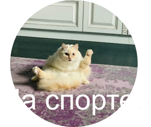 🏃‍♀️ Стикер «Кинкиса» для Telegram