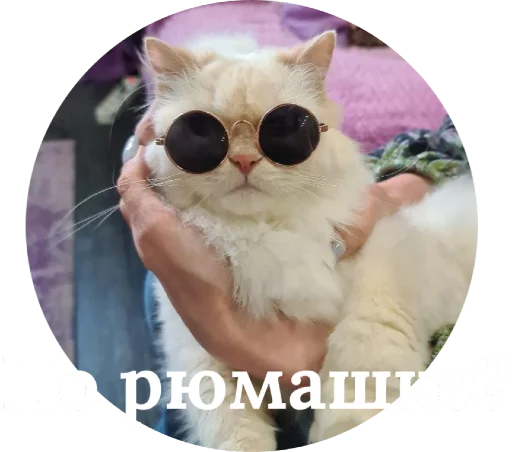🥂 Стикер «Кинкиса» для Telegram