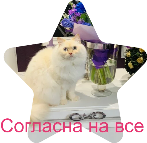 🤗 Стикер «Кинкиса» для Telegram