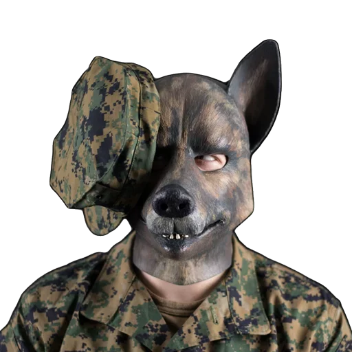 🤪 Стикер «Kinky Dogs» для Telegram