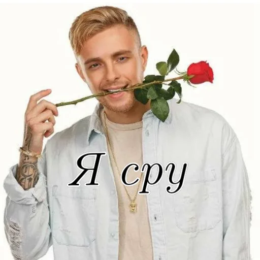🌹 Стикер «Я не Кира Йошикаге» для Telegram