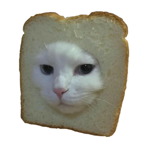 🍞 Стикер «стикеркэт» для Telegram