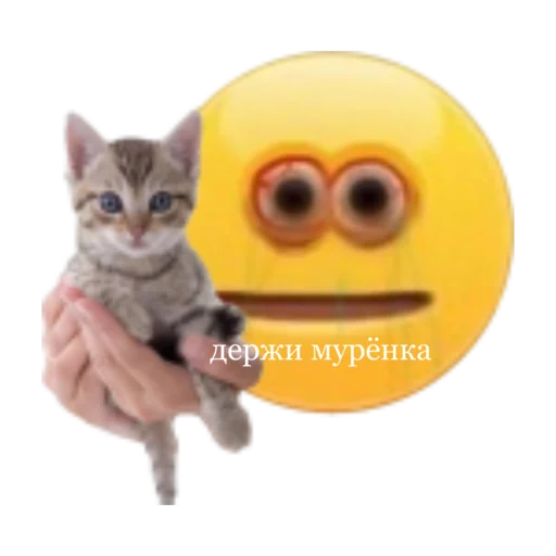 🤲 Стикер «стикеркэт» для Telegram