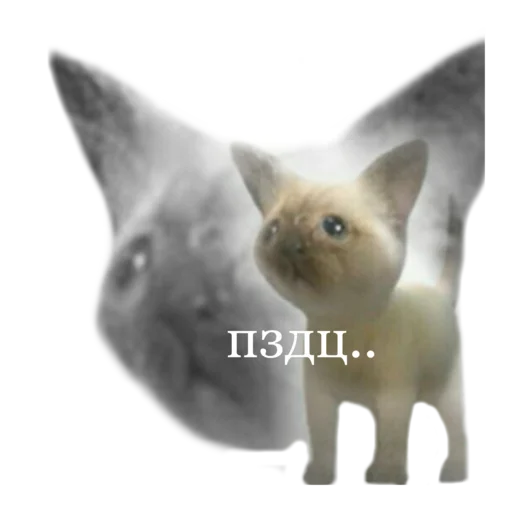 😩 Стикер «стикеркэт» для Telegram
