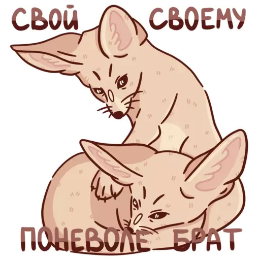 🤝 Стикер «Абрикос» для Telegram
