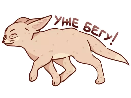 😉 Стикер «Абрикос» для Telegram
