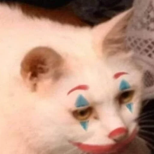 🤡 Стикер «kishku» для Telegram
