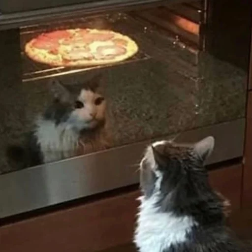 🍕 Стикер «kishku» для Telegram