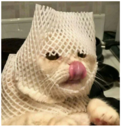 😋 Стикер «Кисы» для Telegram