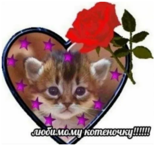 😍 Стикер «Кисы» для Telegram
