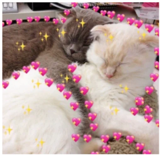 🥰 Стикер «Кисы» для Telegram