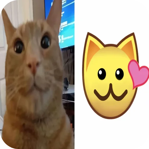 🐱 Стикер «киски и собачки» для Telegram