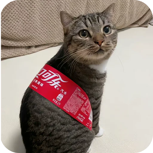 🐱 Стикер «киски и собачки» для Telegram