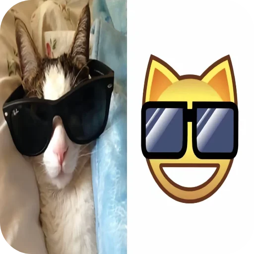 😎 Стикер «киски и собачки» для Telegram