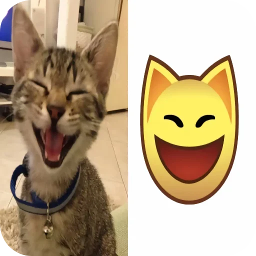 🐱 Стикер «киски и собачки» для Telegram
