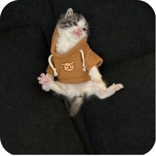 🐱 Стикер «киски и собачки» для Telegram
