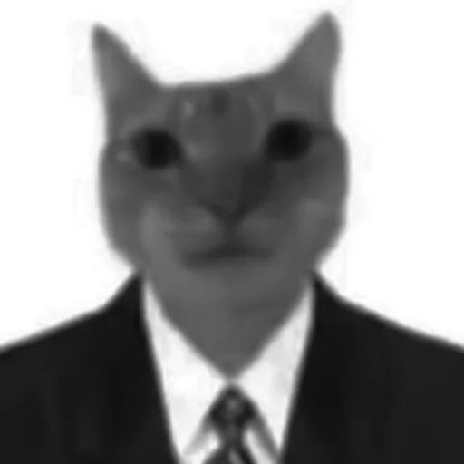 🐈‍⬛️ Стикер «котики няшки» для Telegram