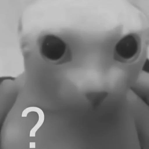 🐈‍⬛️ Стикер «котики няшки» для Telegram