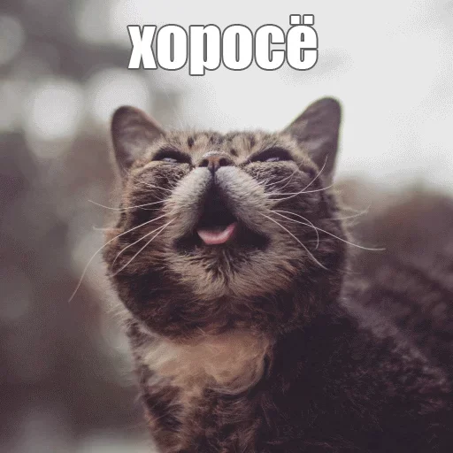 😚 Стикер «Kimono» для Telegram