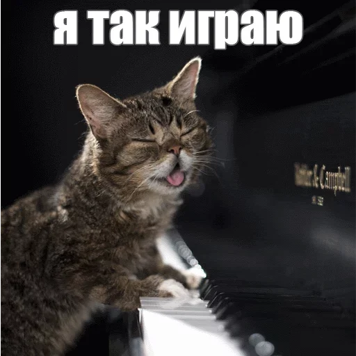 🤪 Стикер «Kimono» для Telegram