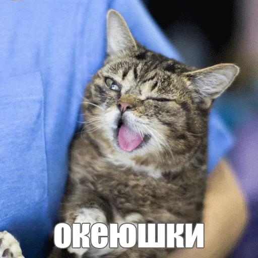 🤪 Стикер «Kimono» для Telegram
