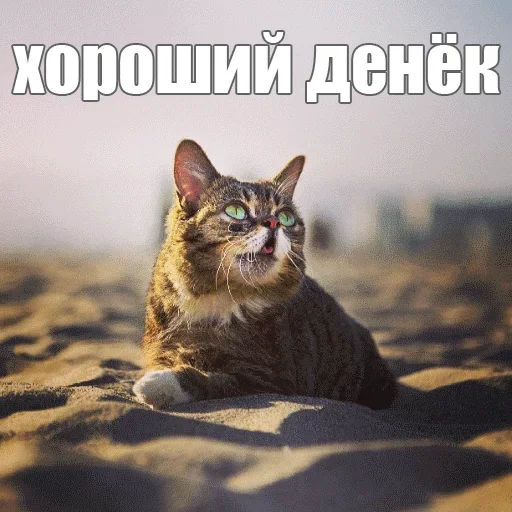 😚 Стикер «Kimono» для Telegram
