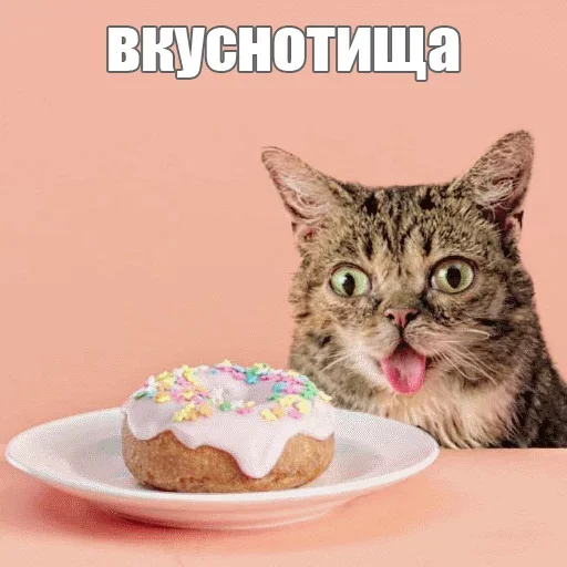 🥳 Стикер «Kimono» для Telegram