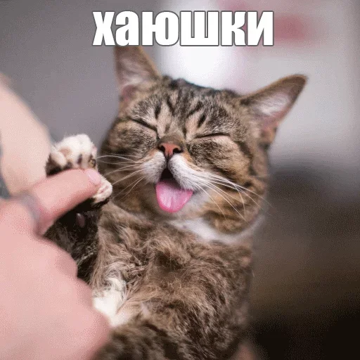 Стикерпак Kimono для Telegram