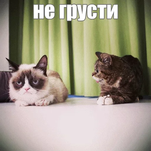 😚 Стикер «Kimono» для Telegram