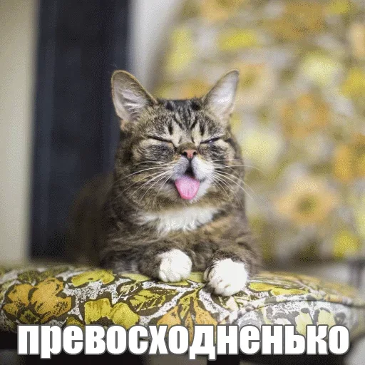 🤪 Стикер «Kimono» для Telegram