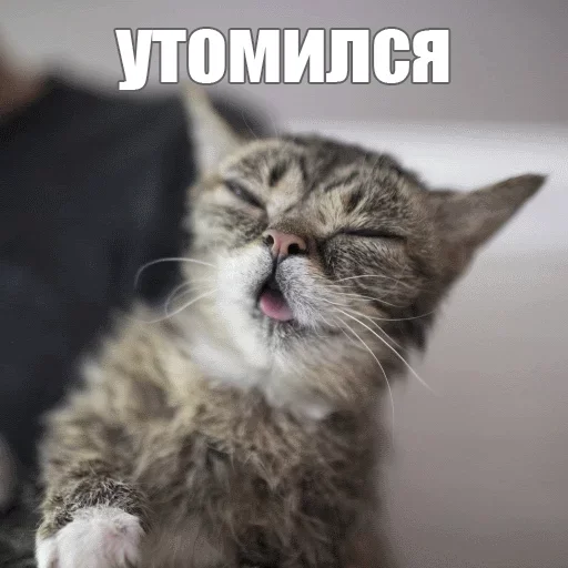 😏 Стикер «Kimono» для Telegram
