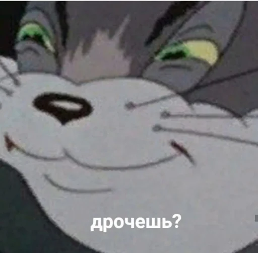 ❓ Стикер «Кися» для Telegram