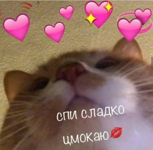 🌚 Стикер «Кися» для Telegram
