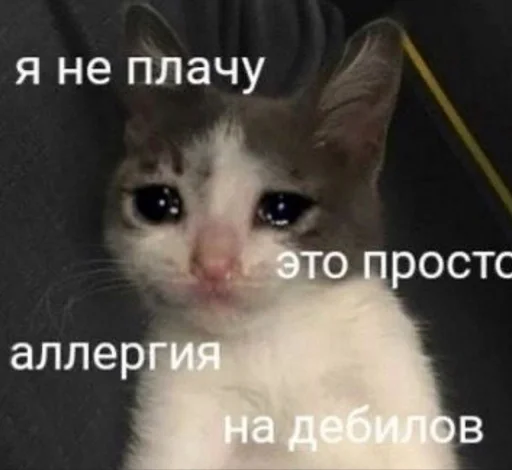 😭 Стикер «Кися» для Telegram