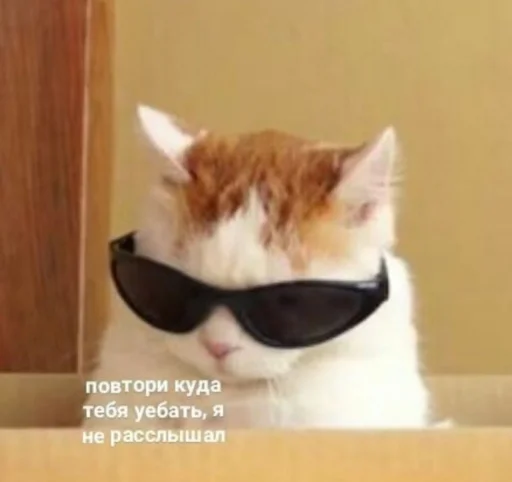 😎 Стикер «Кися» для Telegram