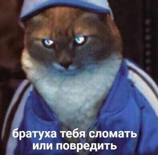 😠 Стикер «Кися» для Telegram
