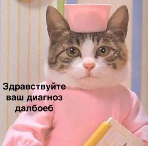 🙂 Стикер «Кися» для Telegram