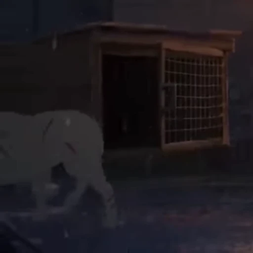 😢 Стикер «Kitbull» для Telegram