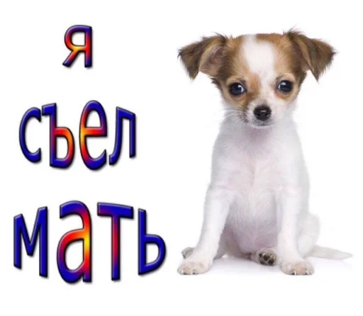 😋 Стикер «котейки» для Telegram