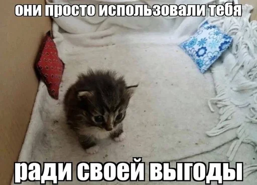 💔 Стикер «котейки» для Telegram
