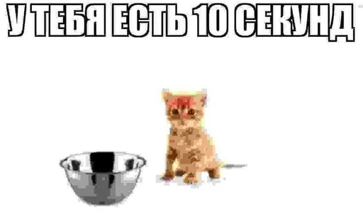 🕐 Стикер «котейки» для Telegram