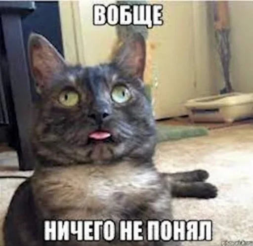 🫤 Стикер «котейки» для Telegram