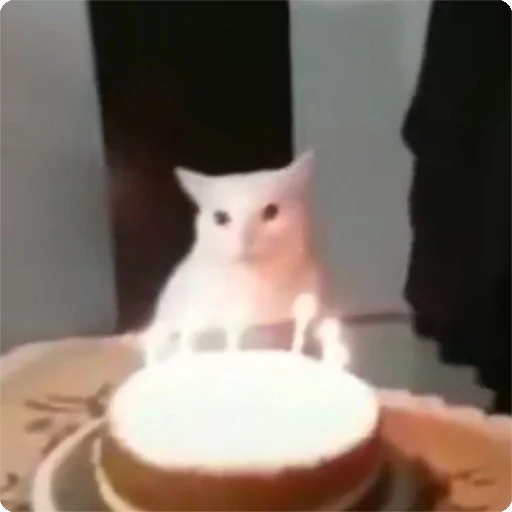 🎂 Стикер «Kites» для Telegram