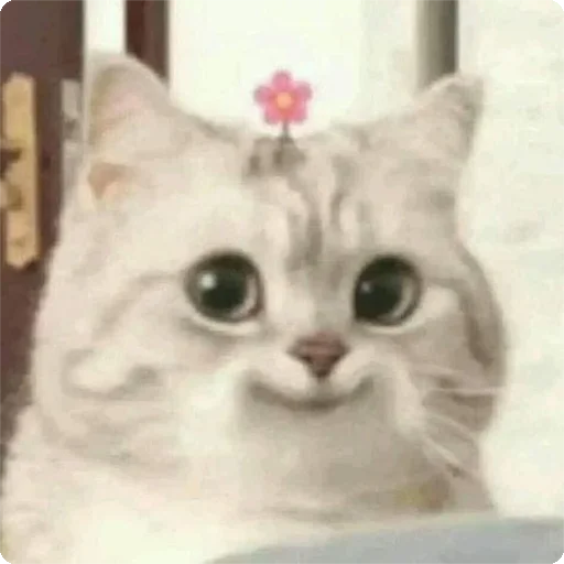 🙂 Стикер «Kites» для Telegram