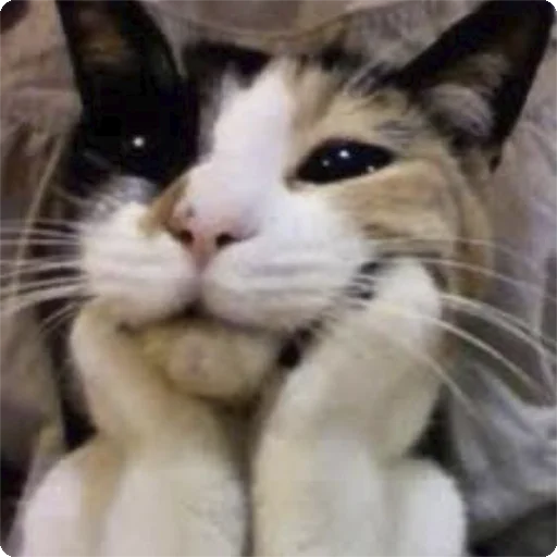 🤗 Стикер «Kites» для Telegram