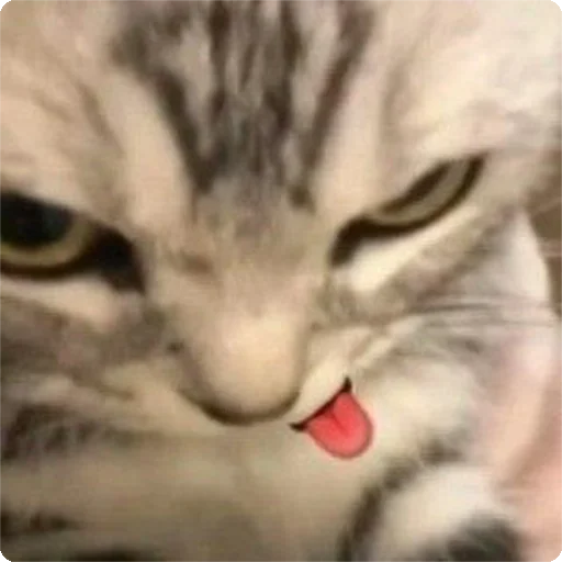 😜 Стикер «Kites» для Telegram