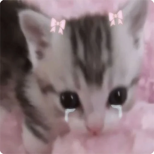 😭 Стикер «Kites» для Telegram
