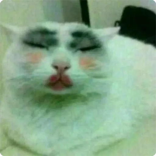 💋 Стикер «Kites» для Telegram