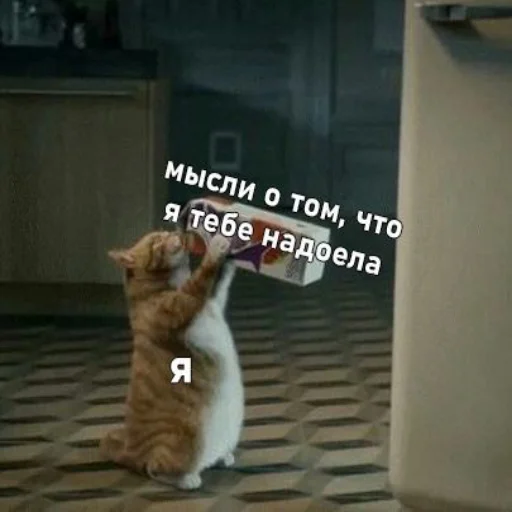 😭 Стикер «kitiiiiiikiiiii» для Telegram